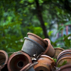 安徽摄友，继续来发劣作，给贵论坛添砖加瓦！！！