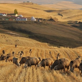 好摄之徒的好色之途