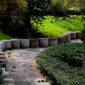 随拍(西安唐苑）