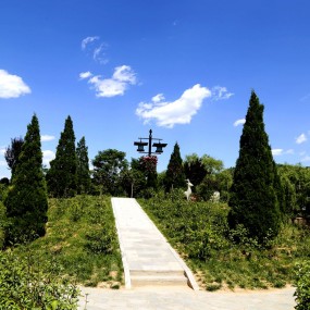 黄陵湖滨公园随拍