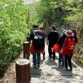 #俊美瀛湖#人间仙境翠屏岛