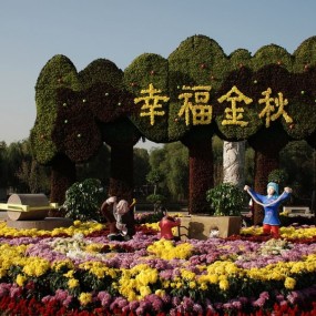 金秋正当赏菊时