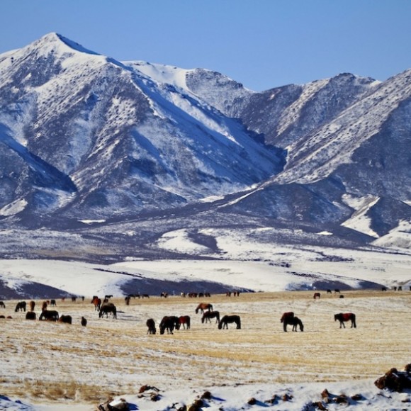 雪韵祁连（七）牧场