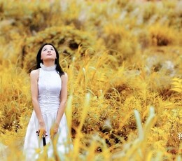 独奏--《金秋盛典》