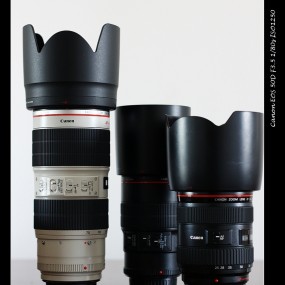 第一次发帖，近期拍的虫鸟。