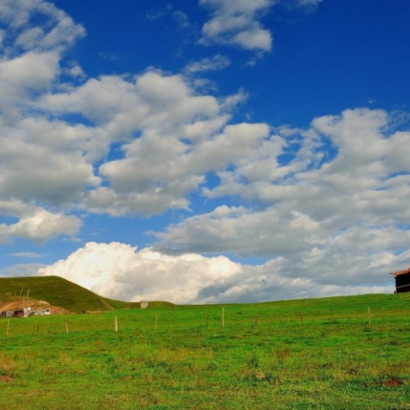 甘南川北之  唐克篇