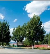 色彩校正的力量