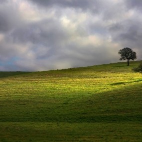 走进Moro的新世界（十一）