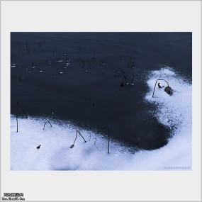 《最后的挽歌》