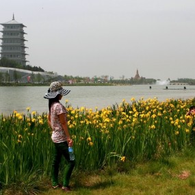 3长安塔湖畔的记忆【世园参赛作品】