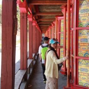 天路—G318（川藏3）