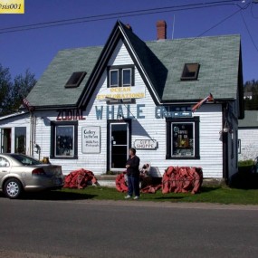 加拿大新斯科舍省