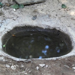 那位流浪猫狗的收留者  第二季