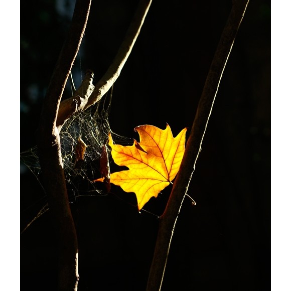 校园角落----孤单的小心情