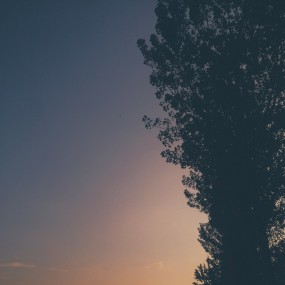 “ 悠然见南山”