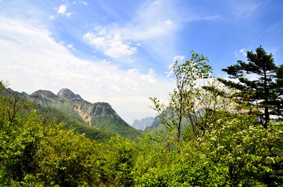 秦岭美景（二）