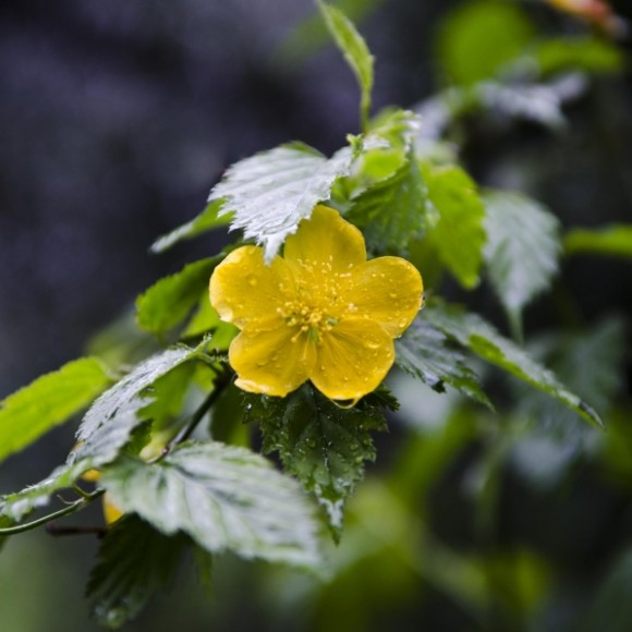 雨天山中拍到云雾风光