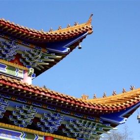 香山之行2010.11.3