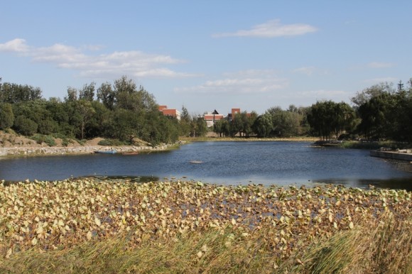 北京的蓝天白云加上大风