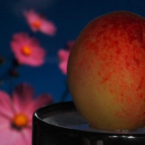 《小莲和小荷》