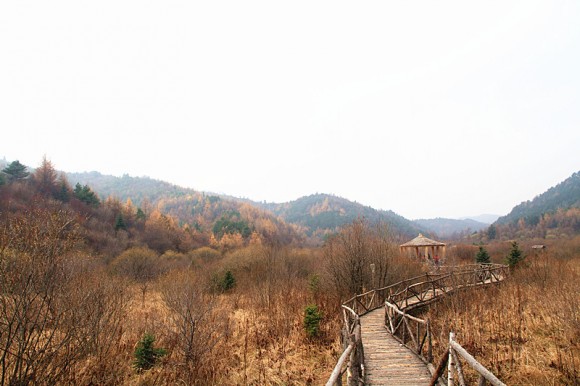 黄柏塬的核桃坪