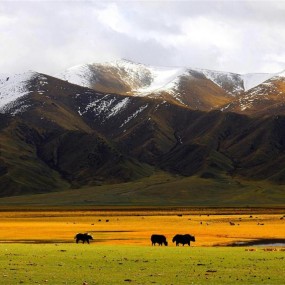 巴音布鲁克草原