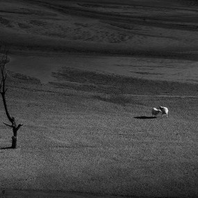 秋季几张小片，请老师们指点