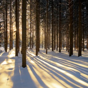 摄影师 Marco Heisler精彩微距作品