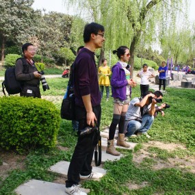 遵麦田收割者嘱  高新街拍记事一组