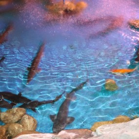 瞎拍的，希望大家多多批评