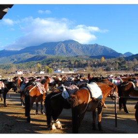 走马观花（1）——云南