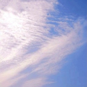 守候，只因脚下的这片土地