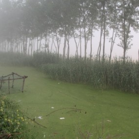 发人思考的一組生活随拍