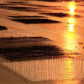 日落闽海胜似火-航海王基德