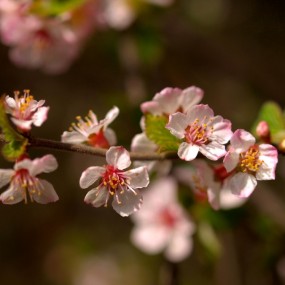 那天在植物园。。。