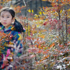 正月初七逛汉城湖随拍：【小霏儿】