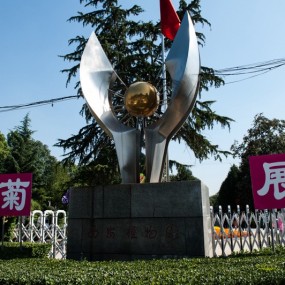 植物园的秋菊展