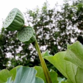 当年很美艳的俩姐妹