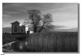 发几张黑白，露个脸