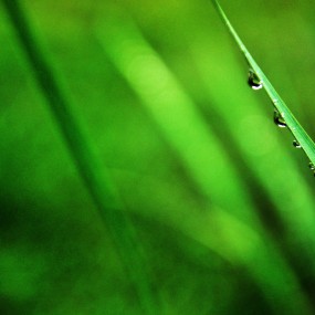 ————夏韵————