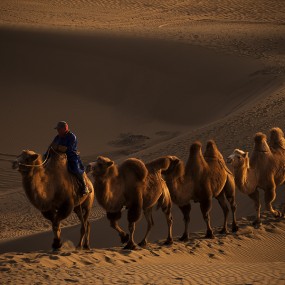 额济纳旗2--巴丹吉林沙漠