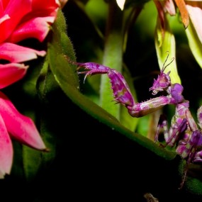 2010国家地理摄影竞赛优秀作品【3】