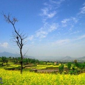 2011.4.3-4魅力汉中诗画南郑---油菜花海核心之旅