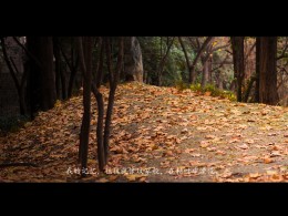 我走了,我曾回来