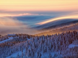 迷人的清晨 ｜捷克摄影师Martin Rak
