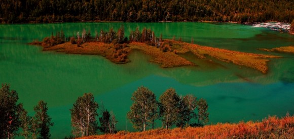 喀纳斯-月亮湾-卧龙湾