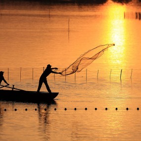 他山之石-----杜星滩涂作品欣赏