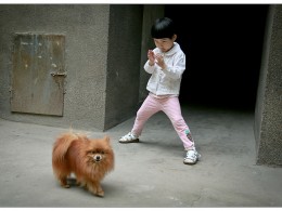 小勺子的小清新