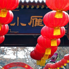 瞧瞧飞翔的祈福小雁