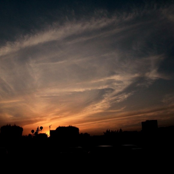 樱花广场的落日